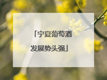 宁夏葡萄酒发展势头强