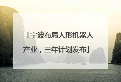 宁波布局人形机器人产业，三年计划发布