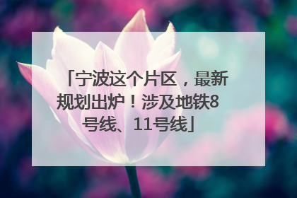 宁波这个片区，最新规划出炉！涉及地铁8号线、11号线