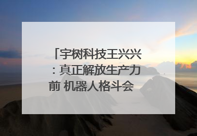 宇树科技王兴兴：真正解放生产力前 机器人格斗会成为全球受欢迎的赛事｜科技观察