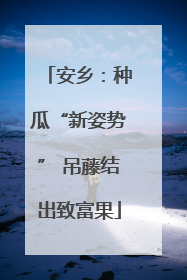 安乡：种瓜“新姿势” 吊藤结出致富果