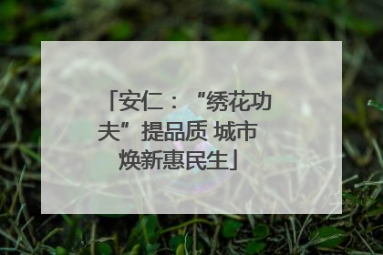 安仁：“绣花功夫”提品质 城市焕新惠民生