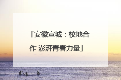 安徽宣城：校地合作 澎湃青春力量