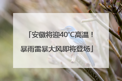 安徽将迎40℃高温！暴雨雷暴大风即将登场