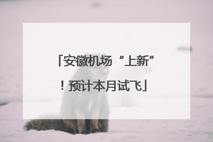 安徽机场“上新”！预计本月试飞