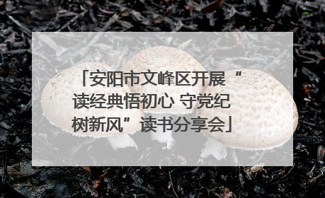 安阳市文峰区开展“读经典悟初心 守党纪树新风”读书分享会