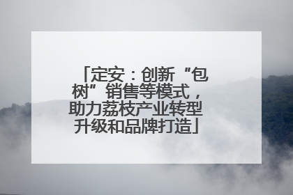 定安：创新“包树”销售等模式，助力荔枝产业转型升级和品牌打造