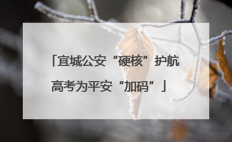 宜城公安“硬核”护航高考为平安“加码”