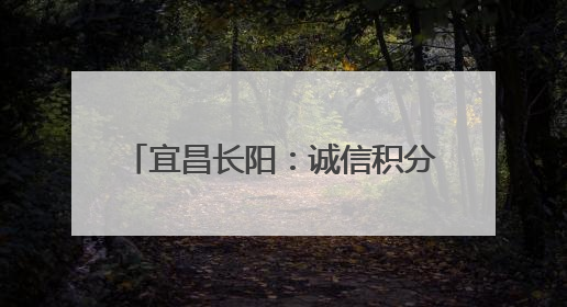宜昌长阳：诚信积分“小杠杆” 撬动乡村建设“大能量”