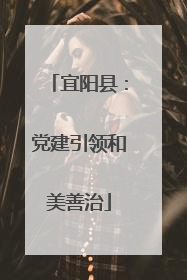 宜阳县：党建引领和美善治