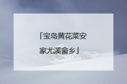 宝岛黄花菜安家尤溪畲乡