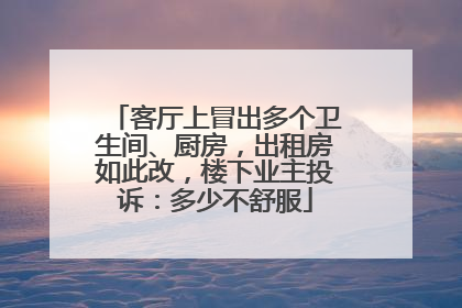 客厅上冒出多个卫生间、厨房，出租房如此改，楼下业主投诉：多少不舒服