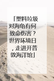 塑料垃圾对海龟有何致命伤害？世界环境日，走进开普敦海洋馆