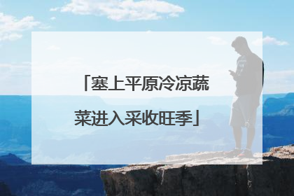 塞上平原冷凉蔬菜进入采收旺季