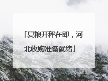 夏粮开秤在即，河北收购准备就绪
