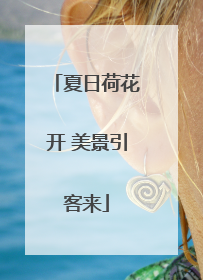 夏日荷花开 美景引客来