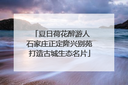 夏日荷花醉游人 石家庄正定隆兴别苑打造古城生态名片