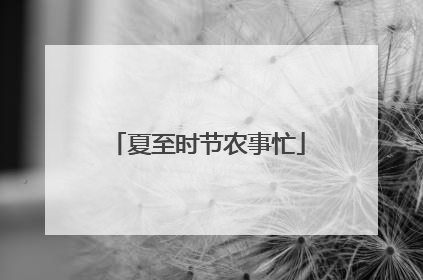 夏至时节农事忙