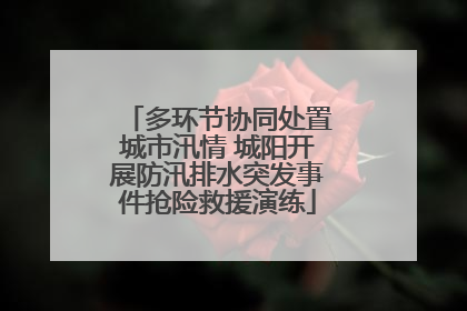 多环节协同处置城市汛情 城阳开展防汛排水突发事件抢险救援演练