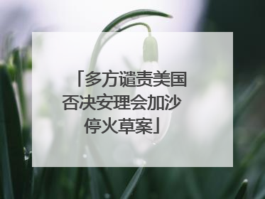 多方谴责美国否决安理会加沙停火草案