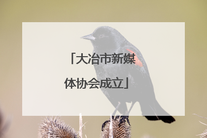 大冶市新媒体协会成立