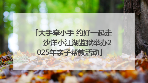 大手牵小手 约好一起走——沙洋小江湖监狱举办2025年亲子帮教活动