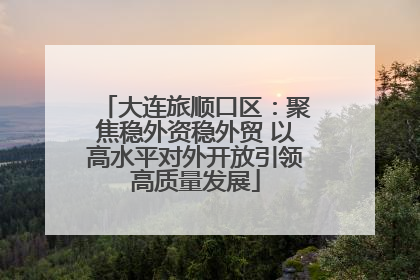 大连旅顺口区：聚焦稳外资稳外贸 以高水平对外开放引领高质量发展