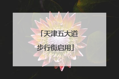 天津五大道步行街启用