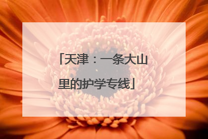 天津：一条大山里的护学专线