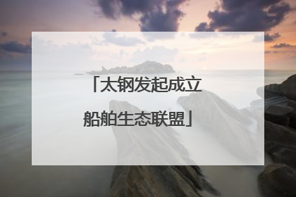 太钢发起成立船舶生态联盟
