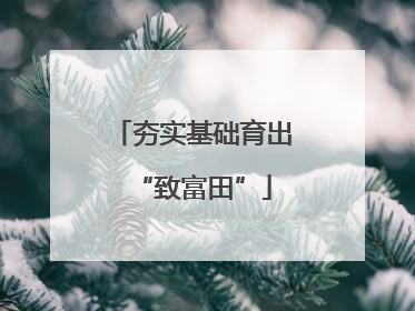 夯实基础育出“致富田”