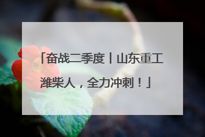 奋战二季度丨山东重工潍柴人，全力冲刺！