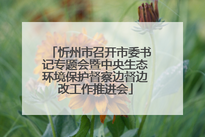 忻州市召开市委书记专题会暨中央生态环境保护督察边督边改工作推进会