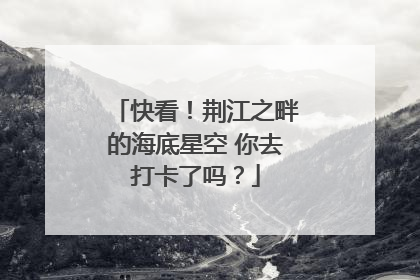 快看！荆江之畔的海底星空 你去打卡了吗？