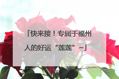 快来接！专属于福州人的好运“莲莲”~
