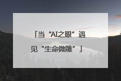 当“AI之眼”遇见“生命微雕”