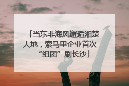 当东非海风邂逅湘楚大地，索马里企业首次“组团”刷长沙
