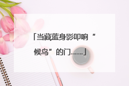 当藏蓝身影叩响“候鸟”的门……