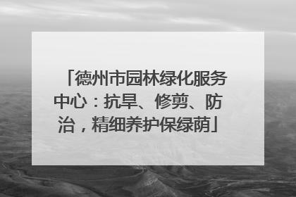 德州市园林绿化服务中心：抗旱、修剪、防治，精细养护保绿荫