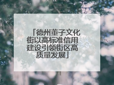 德州董子文化街以高标准信用建设引领街区高质量发展