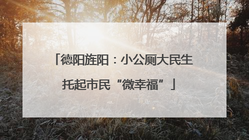 德阳旌阳：小公厕大民生 托起市民“微幸福”