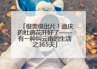 很美很出片！迪庆的杜鹃花开好了——有一种叫云南的生活之365天