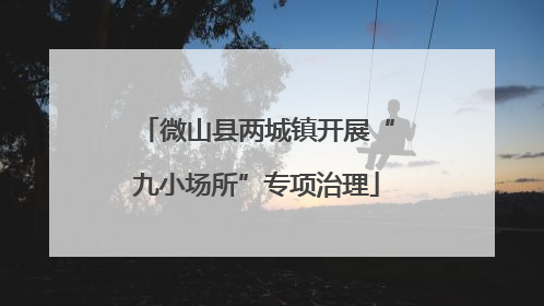 微山县两城镇开展“九小场所”专项治理
