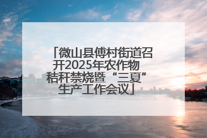 微山县傅村街道召开2025年农作物秸秆禁烧暨“三夏”生产工作会议