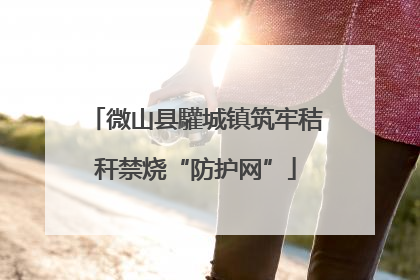 微山县驩城镇筑牢秸秆禁烧“防护网”
