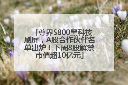 尊界S800黑科技刷屏，A股合作伙伴名单出炉！下周8股解禁市值超10亿元