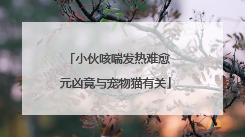 小伙咳喘发热难愈 元凶竟与宠物猫有关