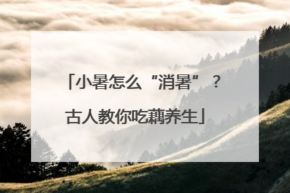 小暑怎么“消暑”？古人教你吃藕养生