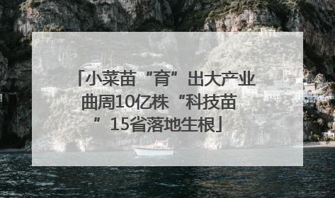 小菜苗“育”出大产业 曲周10亿株“科技苗”15省落地生根