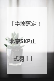 尘埃落定！北京SKP正式易主